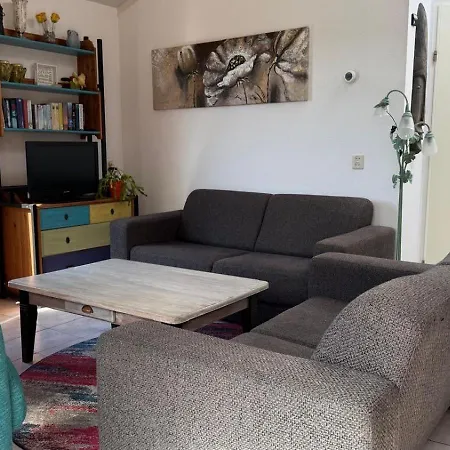 Zeester 249 * Julianadorp